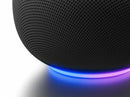 Google Home Speaker Hazel