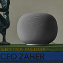 Google Home Speaker Hazel